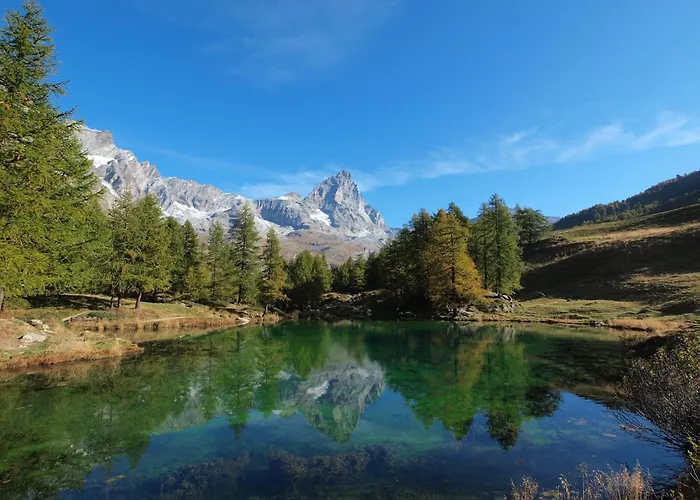 In Near Area Apartment