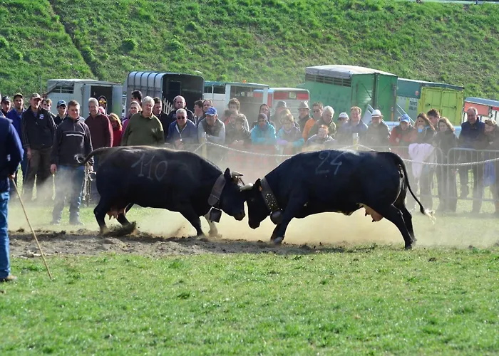 In Near Area Apartment