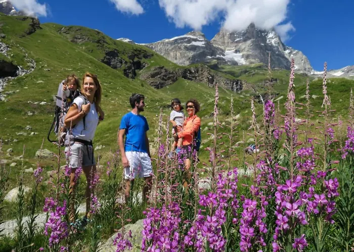 In Near Area Apartment