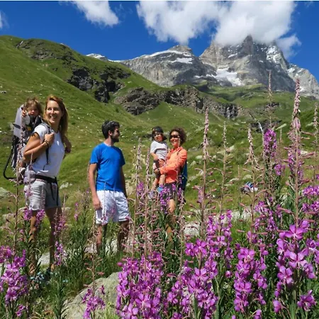 In Near Area * Antey-Saint-André