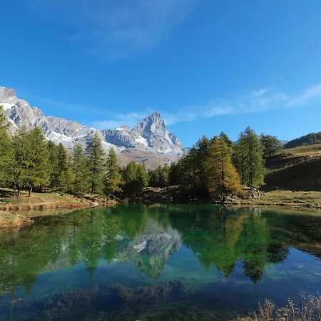 In Near Area Appartement