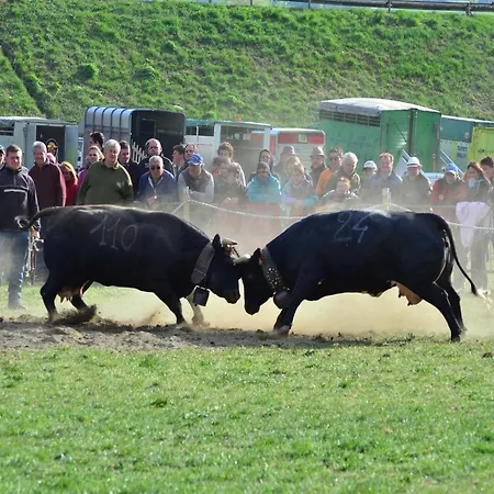 In Near Area Appartement