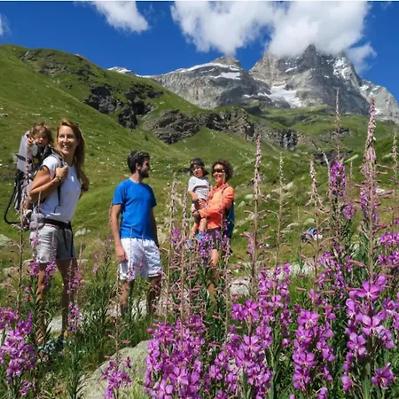 In Near Area Appartement